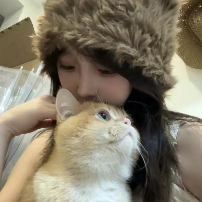 活死喵之夜