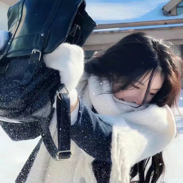 疯狂的狮王